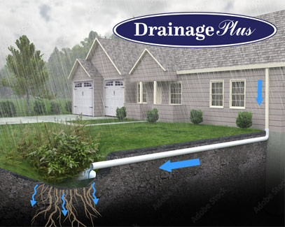 services-drainage-plus